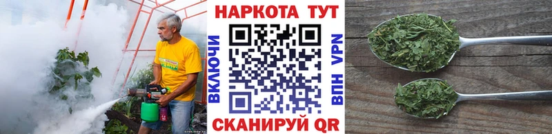 Купить Конопля COCAIN МЕФ Курчалой