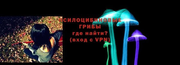 стаф Майский
