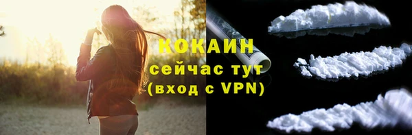дурь Магас