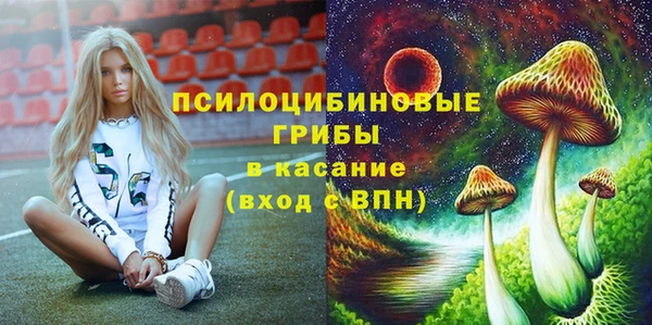 дурь Магас